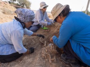 Scavi archeologici in Sicilia