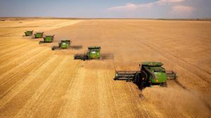 Sammartino: “La Regione punta al marchio Dop per la pasta di grano duro siciliano”