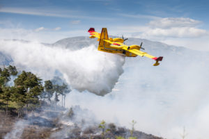 Incendio a Bellolampo