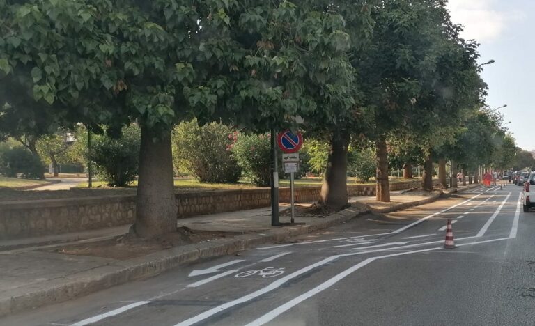 la bicicletta tedto soggettivo e oggettivo