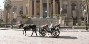 Cavallo stremato dal caldo a Palermo: sanzionato il proprietario
