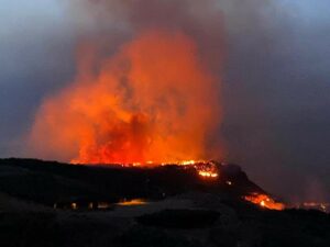 Incendi in Sicilia, parte la Class action