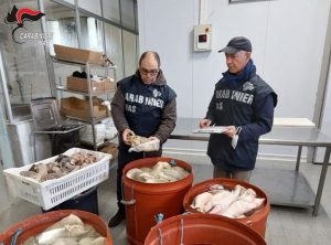 Sequestrata una tonnellata di carne a Palermo, sanzioni da 11.500 euro