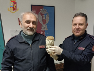 A Catania gli agenti della Polizia ferroviaria salvano un barbagianni ferito