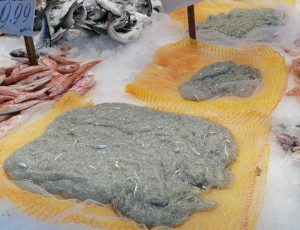 Controlli in ristoranti e pescherie, sequestrati 255 chili di pesce tra cui 30 chili di neonata