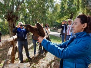 Giornata Fauna selvatica, Centro Ficuzza accoglie 2.400 animali