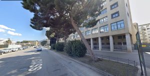 Albero crollato in via Crispi a Palermo, Agronomi: “Si poteva prevedere”