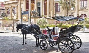 Cavalli sfruttati fino alla morte a Palermo e Messina. Appello ai turisti di Animal Protection
