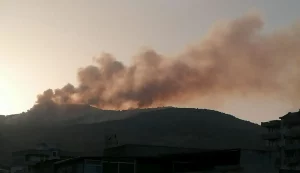 Incendi, Lagalla “Diossina a Palermo al di sotto rischio popolazione”