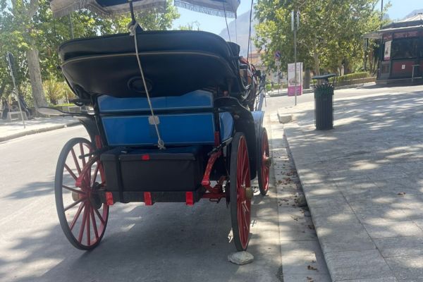 Stop alle carrozze con cavalli a Palermo in caso di ondate di calore