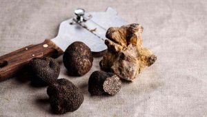 Tartufo - fonte_Canva - sicilianews24.it