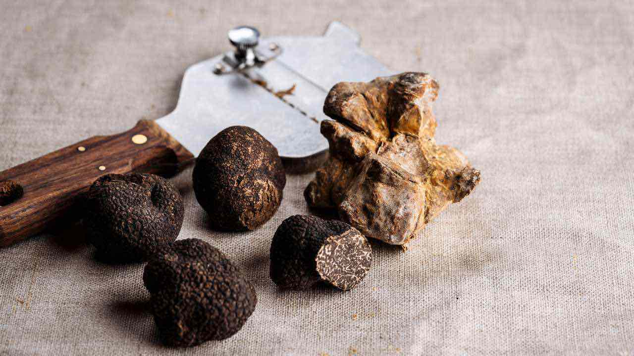 Tartufo: ce n’é ancora poco ma il prezzo é formidabile | Finalmente tutti possono acquistarlo