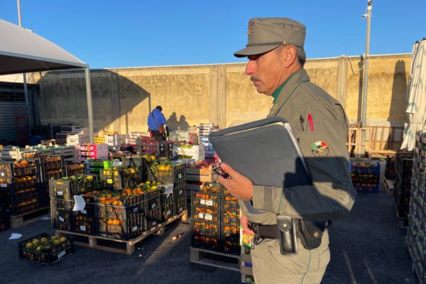 Siracusa, controlli del Noras del Corpo Forestale al mercato: sequestrati 2.800 chili di prodotti