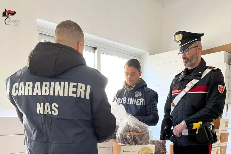 Panettoni scaduti pronti per essere venduti, sequestrati da Carabinieri