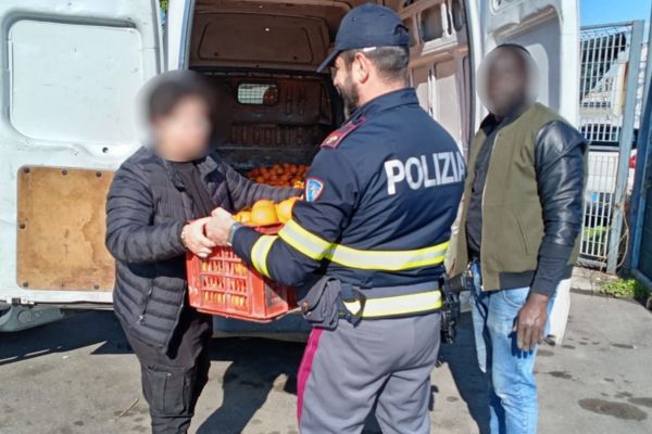 Fermato dalla polizia con un carico di 700 Kg di arance rubate