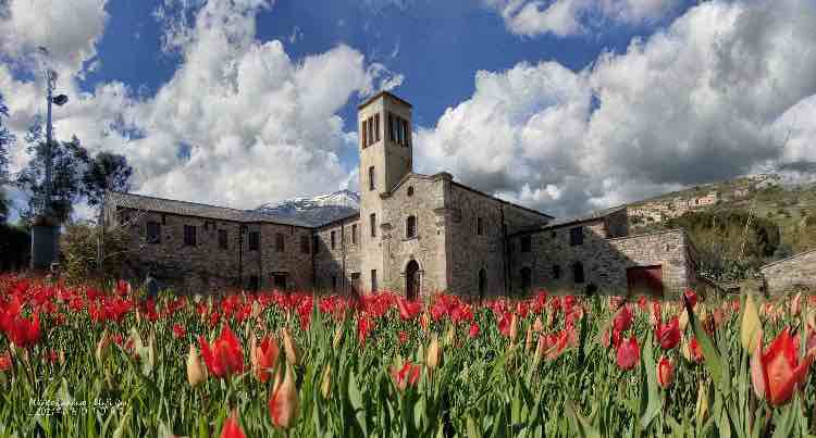 Blufi - fonte_facebook - sicilianews24.it